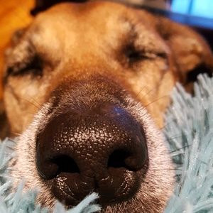 Meet your Posher, Erlyn